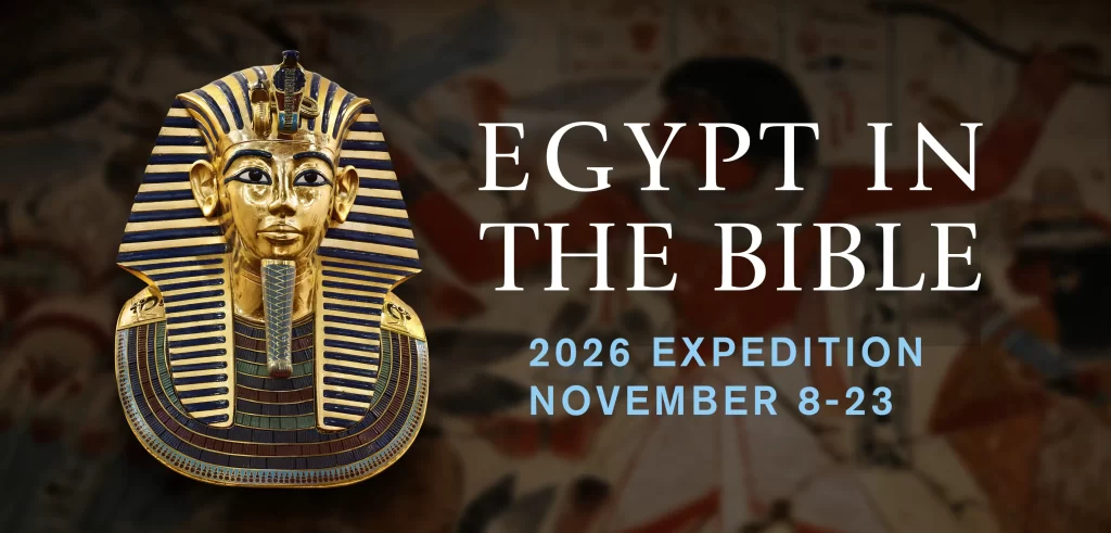 Header TBW Egypt
